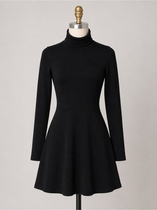 Sunday Best Dresses & Skirts - Aritzia Sunday Best Black Turtleneck Fit Flare Mini Dress Quiet Luxury Skater S